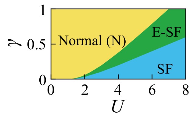 Phase diagram of NH BCS model with spin-depairing