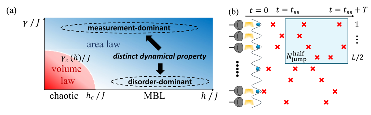 (a): Entanglement phase diagram under the simultaneous measurements and disorder (b): Dynamics under continuous measurements and subsystem fluctuations